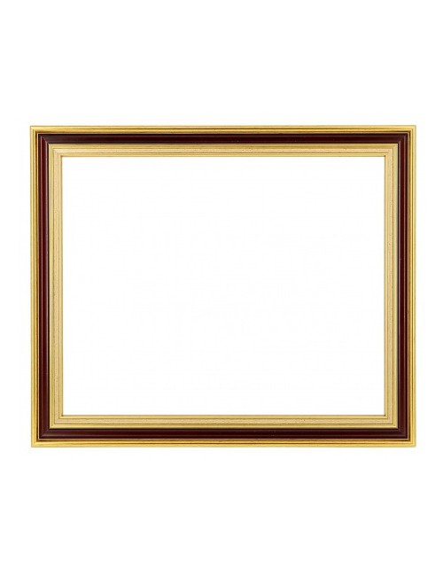 Albion burgundy frame 15M...