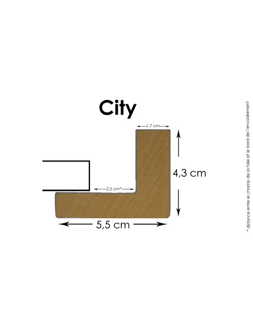 Custom-made City Carmin frame